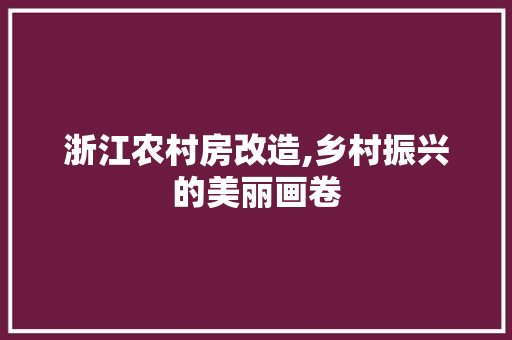 浙江农村房改造,乡村振兴的美丽画卷