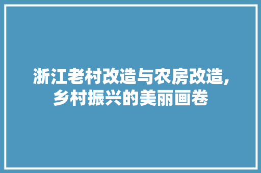 浙江老村改造与农房改造,乡村振兴的美丽画卷