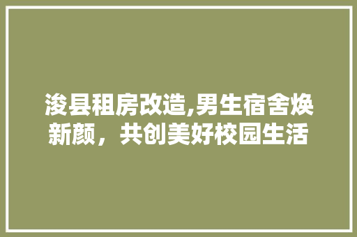 浚县租房改造,男生宿舍焕新颜，共创美好校园生活 地面装修