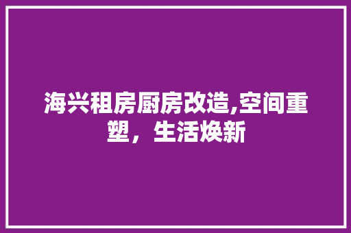 海兴租房厨房改造,空间重塑，生活焕新