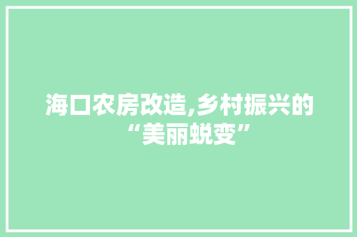 海口农房改造,乡村振兴的“美丽蜕变”