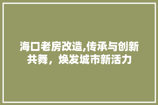 海口老房改造,传承与创新共舞，焕发城市新活力 地面装修