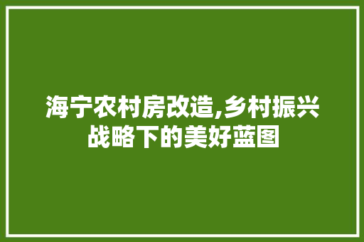 海宁农村房改造,乡村振兴战略下的美好蓝图
