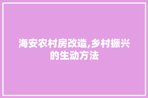 海安农村房改造,乡村振兴的生动方法 墙面装饰