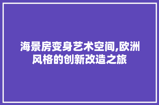 海景房变身艺术空间,欧洲风格的创新改造之旅