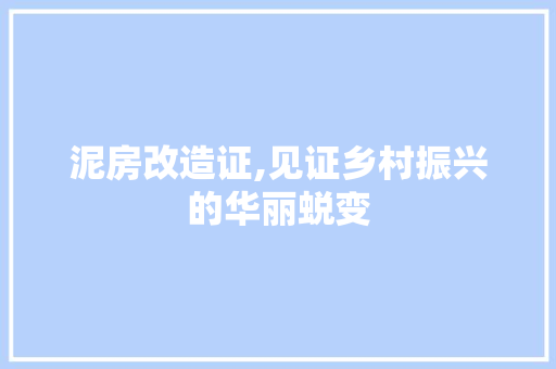 泥房改造证,见证乡村振兴的华丽蜕变