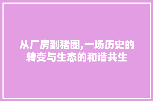 从厂房到猪圈,一场历史的转变与生态的和谐共生