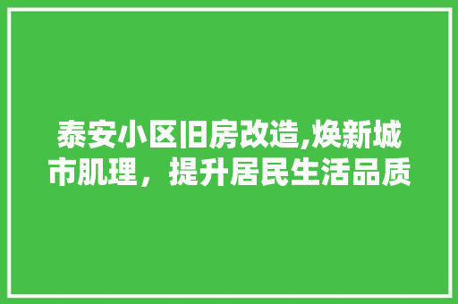 泰安小区旧房改造,焕新城市肌理，提升居民生活品质
