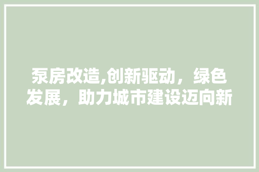泵房改造,创新驱动，绿色发展，助力城市建设迈向新高度