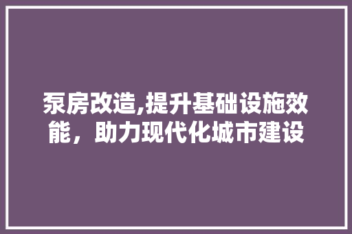 泵房改造,提升基础设施效能，助力现代化城市建设