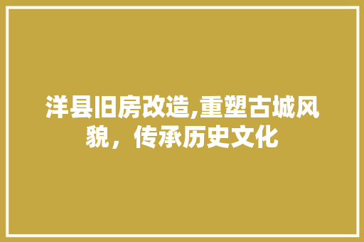 洋县旧房改造,重塑古城风貌，传承历史文化