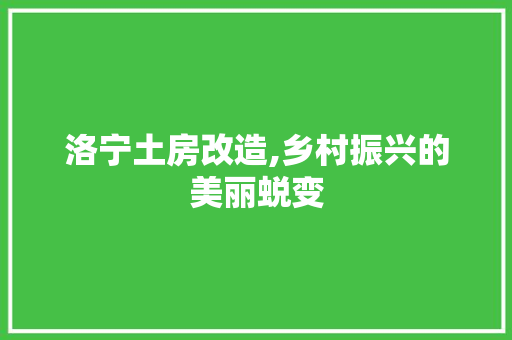 洛宁土房改造,乡村振兴的美丽蜕变