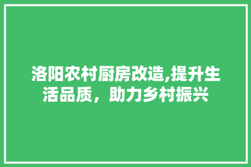洛阳农村厨房改造,提升生活品质，助力乡村振兴