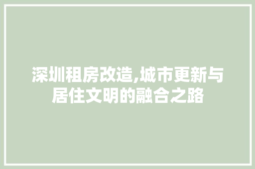深圳租房改造,城市更新与居住文明的融合之路