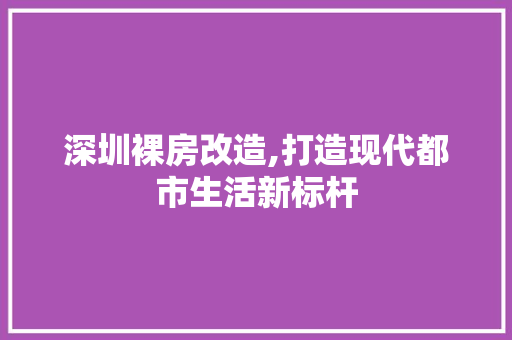 深圳裸房改造,打造现代都市生活新标杆