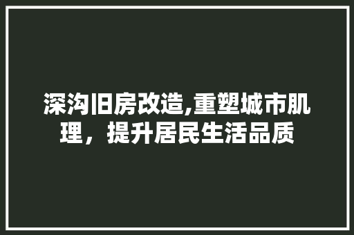 深沟旧房改造,重塑城市肌理，提升居民生活品质