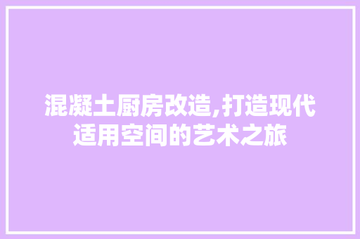 混凝土厨房改造,打造现代适用空间的艺术之旅