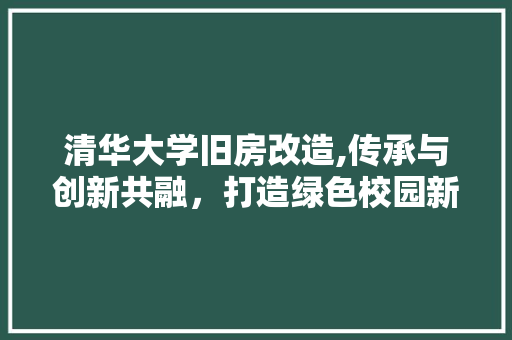 清华大学旧房改造,传承与创新共融，打造绿色校园新地标