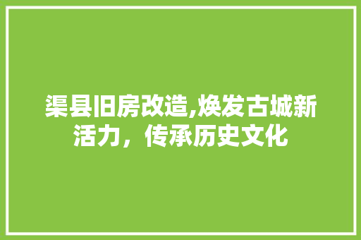 渠县旧房改造,焕发古城新活力，传承历史文化 门窗装修