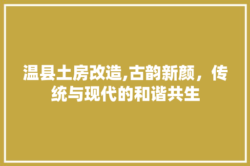 温县土房改造,古韵新颜，传统与现代的和谐共生