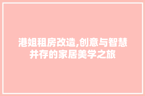 港姐租房改造,创意与智慧并存的家居美学之旅