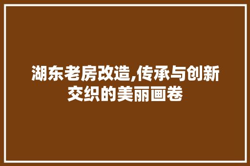 湖东老房改造,传承与创新交织的美丽画卷