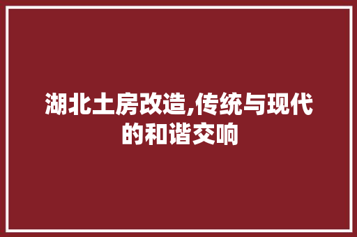 湖北土房改造,传统与现代的和谐交响 墙面装饰