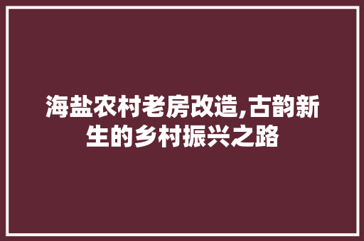 海盐农村老房改造,古韵新生的乡村振兴之路