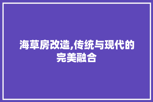 海草房改造,传统与现代的完美融合