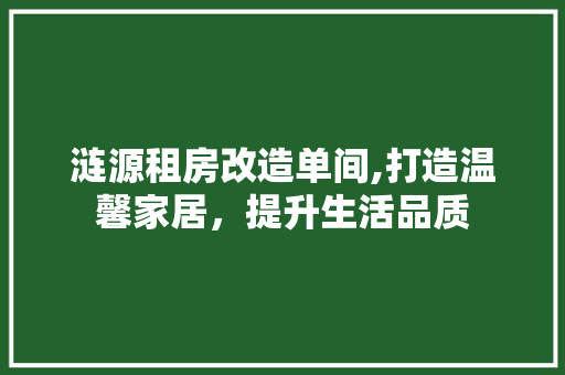 涟源租房改造单间,打造温馨家居，提升生活品质