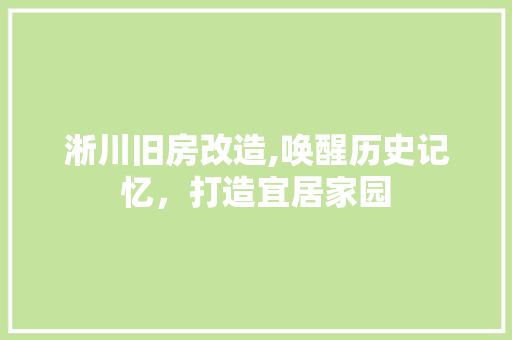 淅川旧房改造,唤醒历史记忆，打造宜居家园 地面装修