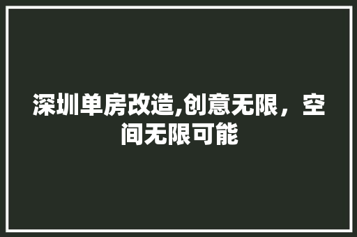 深圳单房改造,创意无限，空间无限可能
