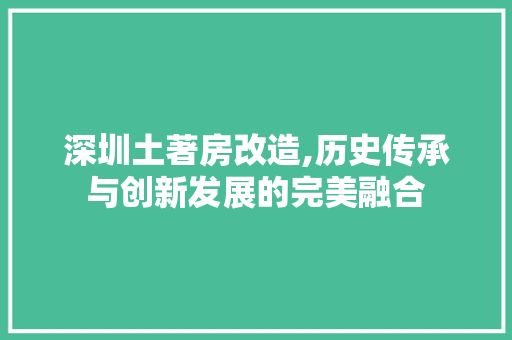 深圳土著房改造,历史传承与创新发展的完美融合