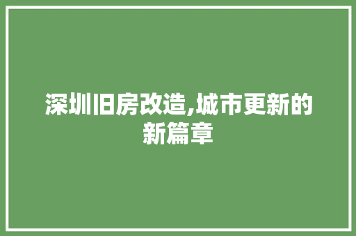 深圳旧房改造,城市更新的新篇章