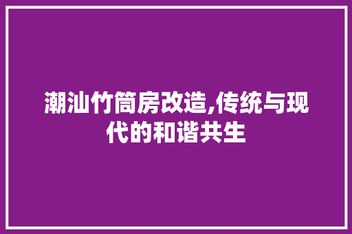 潮汕竹筒房改造,传统与现代的和谐共生