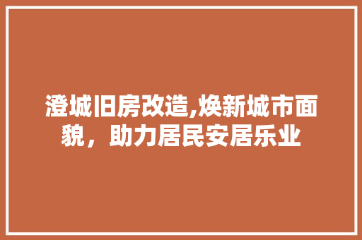澄城旧房改造,焕新城市面貌，助力居民安居乐业