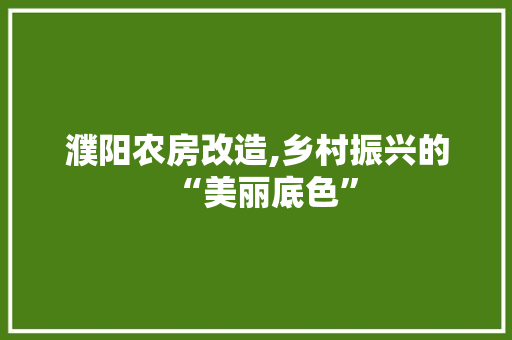 濮阳农房改造,乡村振兴的“美丽底色”