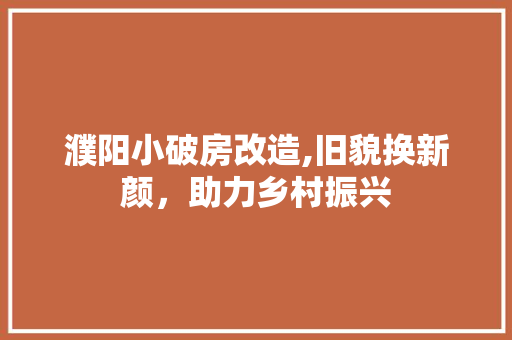 濮阳小破房改造,旧貌换新颜，助力乡村振兴