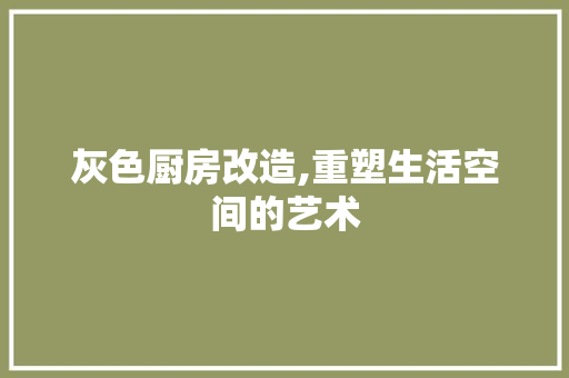 灰色厨房改造,重塑生活空间的艺术