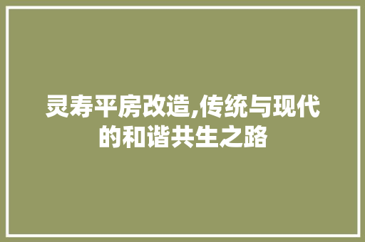 灵寿平房改造,传统与现代的和谐共生之路