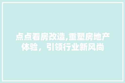 点点看房改造,重塑房地产体验，引领行业新风尚