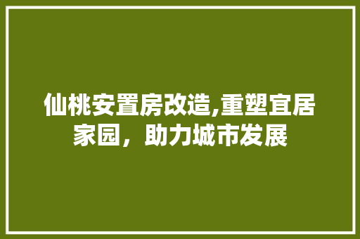 仙桃安置房改造,重塑宜居家园，助力城市发展