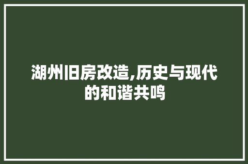 湖州旧房改造,历史与现代的和谐共鸣