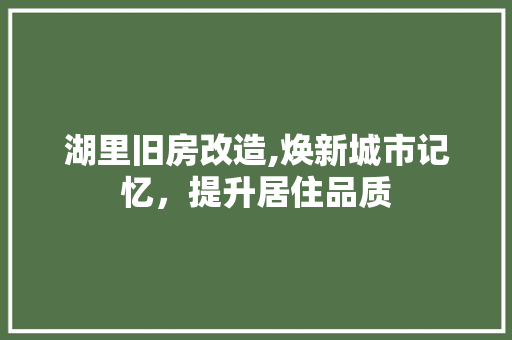 湖里旧房改造,焕新城市记忆，提升居住品质