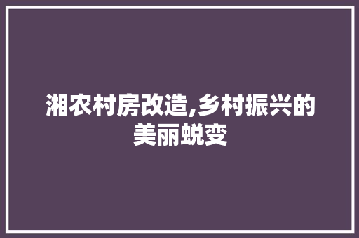 湘农村房改造,乡村振兴的美丽蜕变