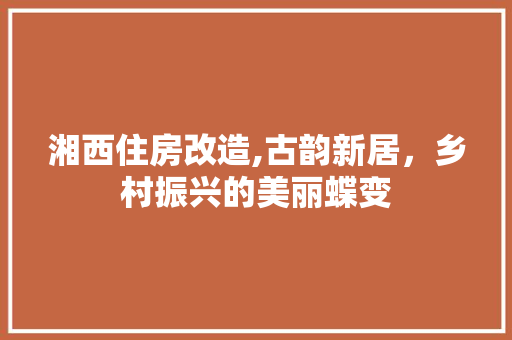 湘西住房改造,古韵新居，乡村振兴的美丽蝶变