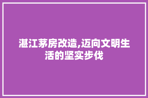 湛江茅房改造,迈向文明生活的坚实步伐