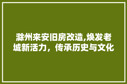 滁州来安旧房改造,焕发老城新活力，传承历史与文化