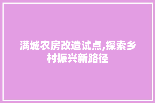 满城农房改造试点,探索乡村振兴新路径