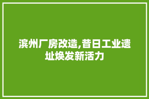 滨州厂房改造,昔日工业遗址焕发新活力